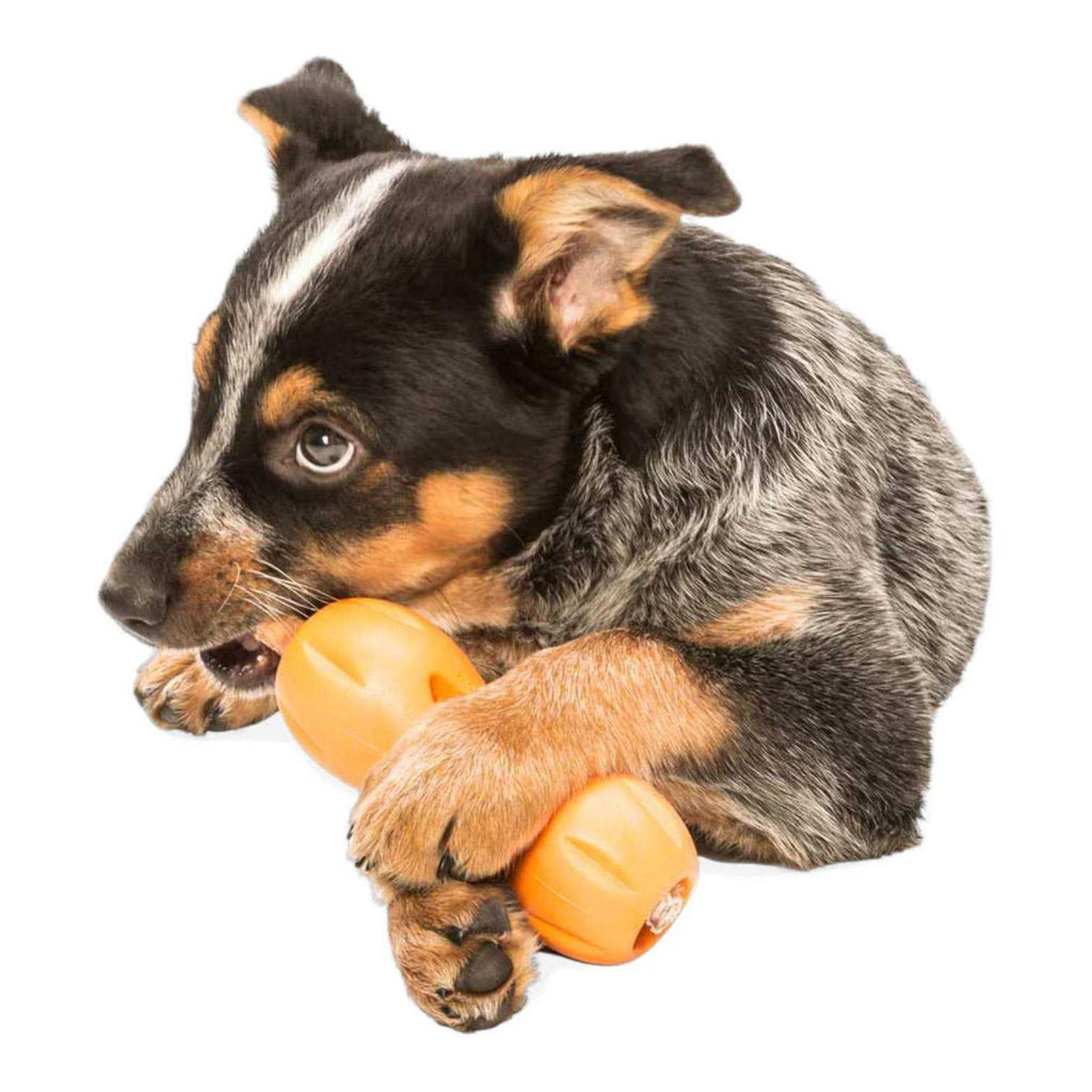 Dog Toy K362