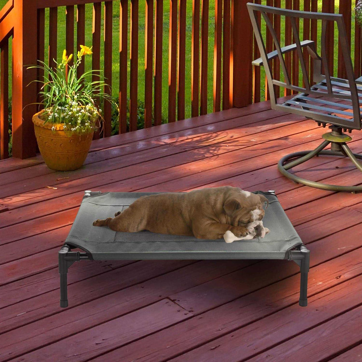 Cot-Style Elevated Pet Bed L75429