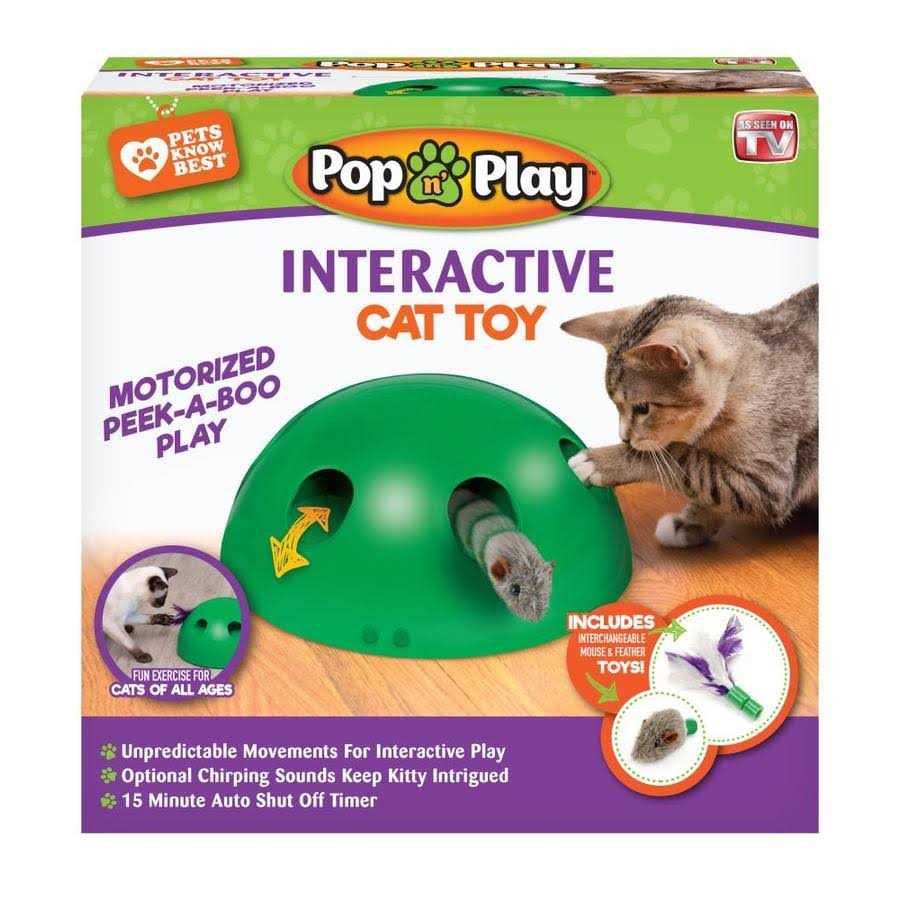 Cat Toy B1629
