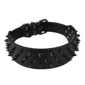 Black Spiked Studded Dog Collar F976