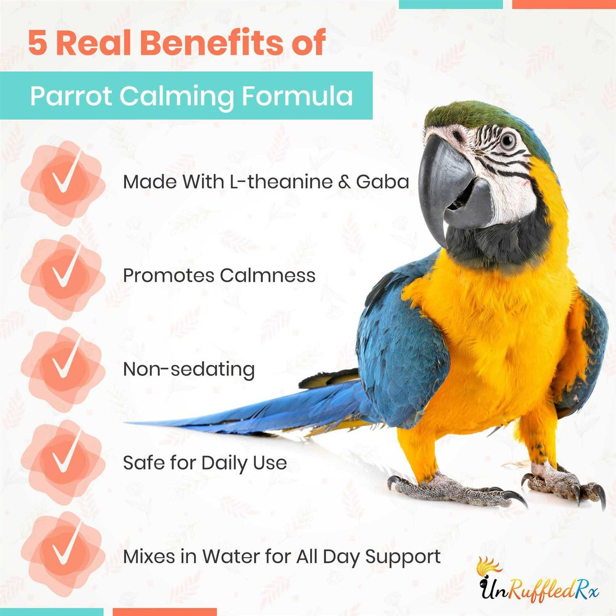 Parrot Calming Formula Dietary Supplement 4 oz N707165