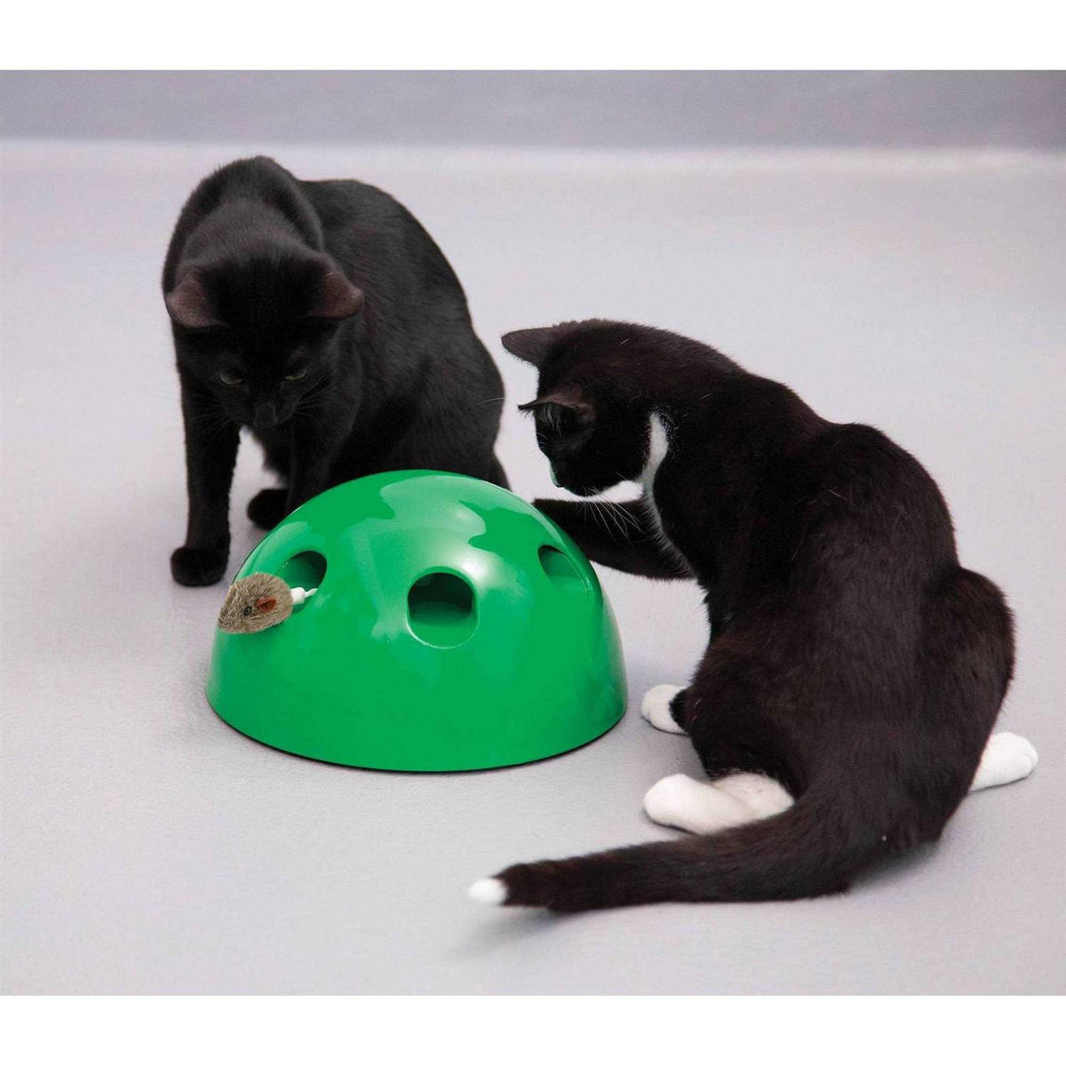 Cat Toy B1629