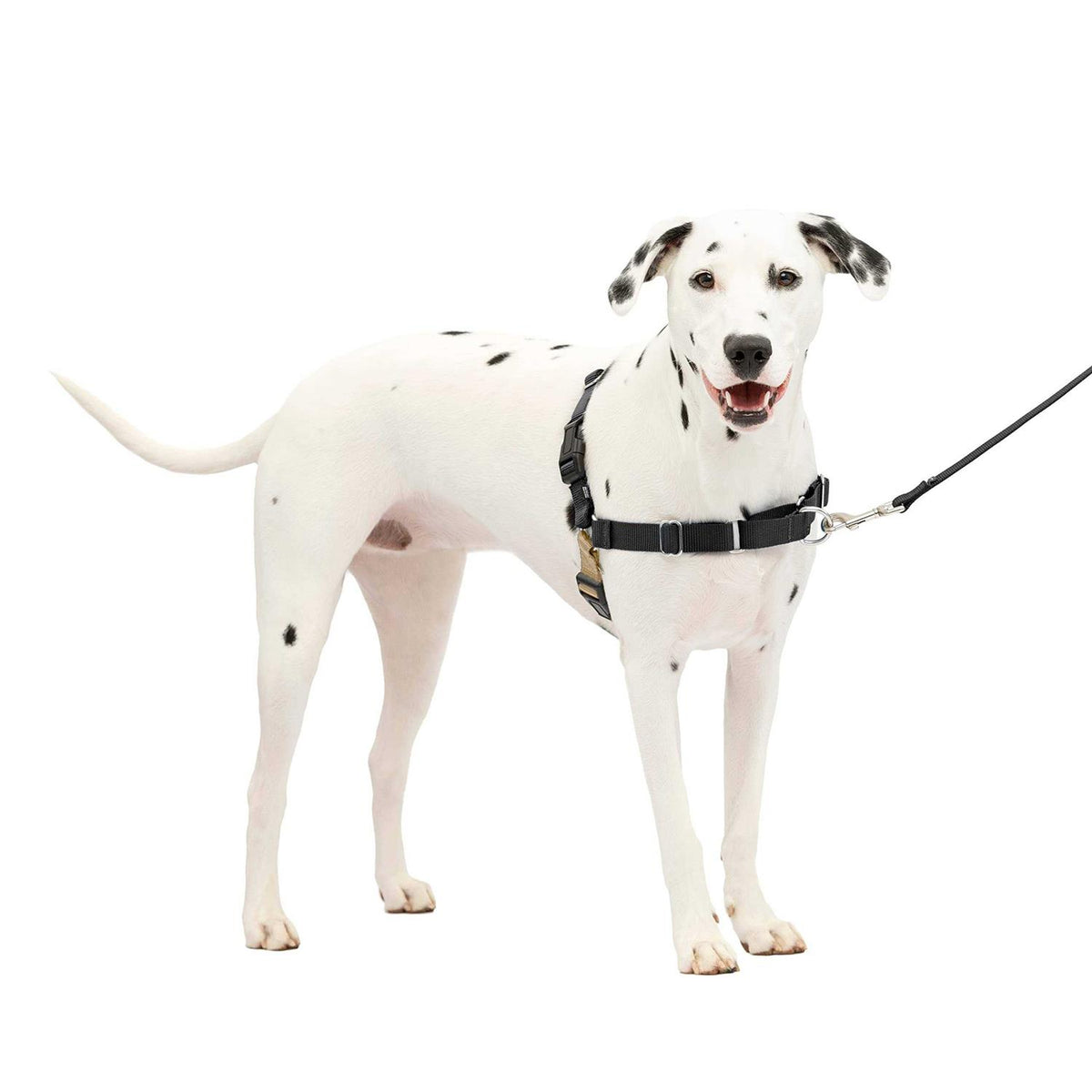 Dog Harness X132850