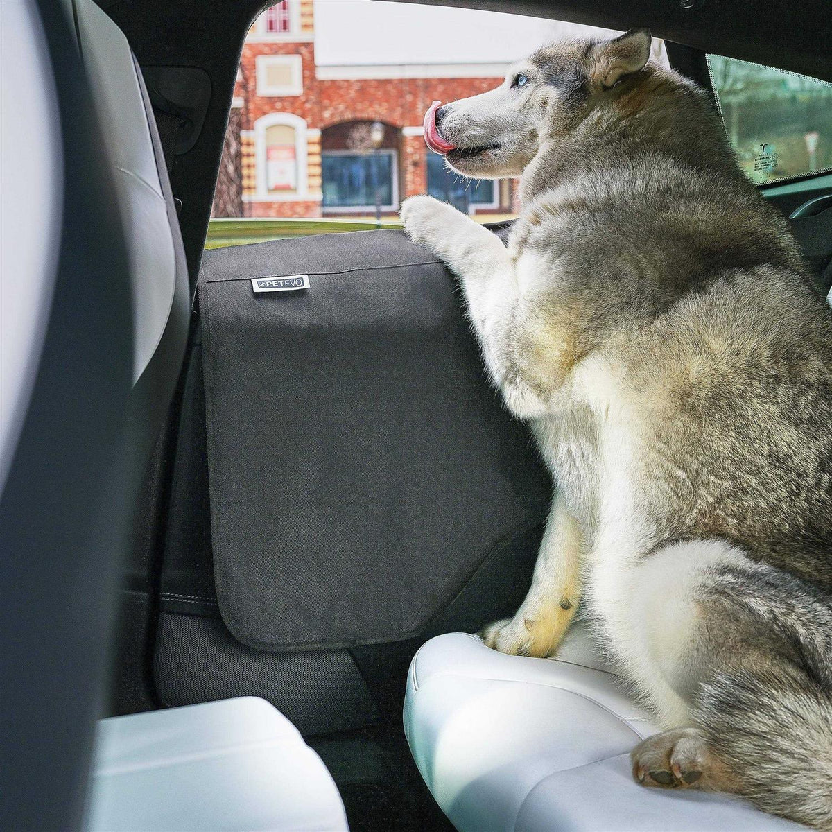 Car Door Protector Pet Window Guard T706391