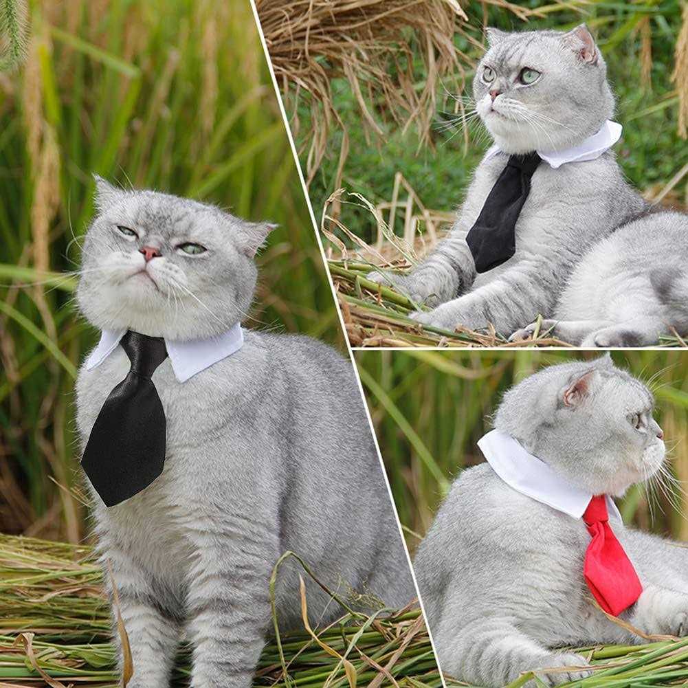 Adjustable Dog Cat Bowtie Collar O312924