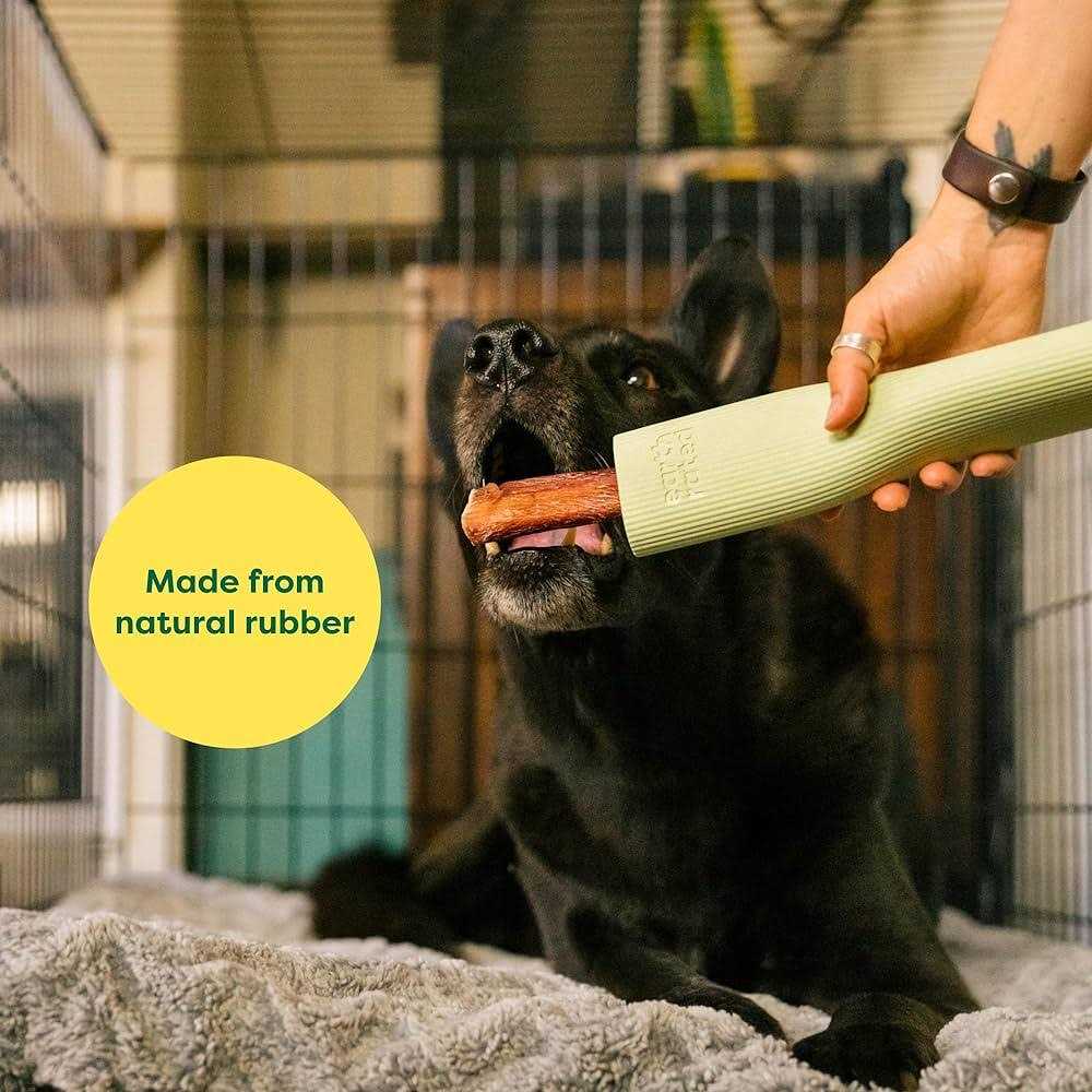 Rubber Chew Dog Toy B564654