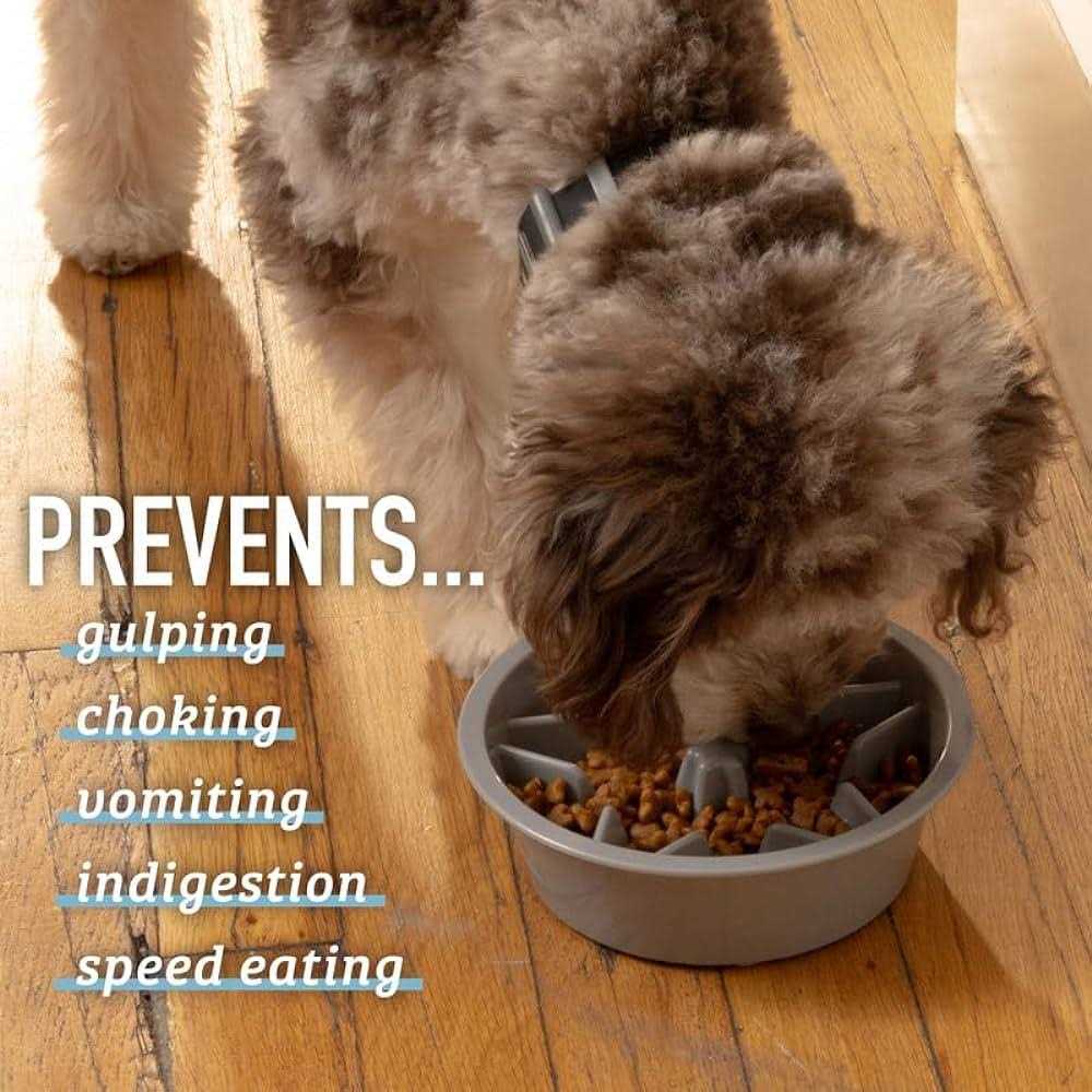 Slow Feeder Dog Bowl with Feeder Holes X970