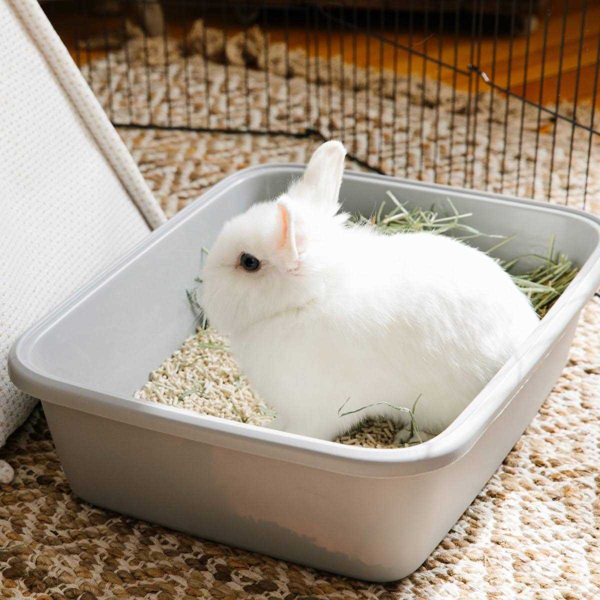 Rabbit & Ferret Litter I6810