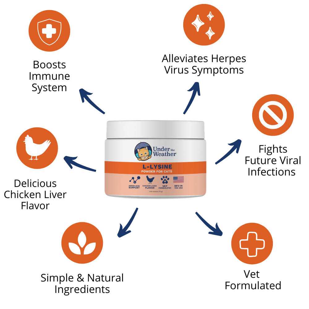 L-lysine Powder Cat Supplement F532