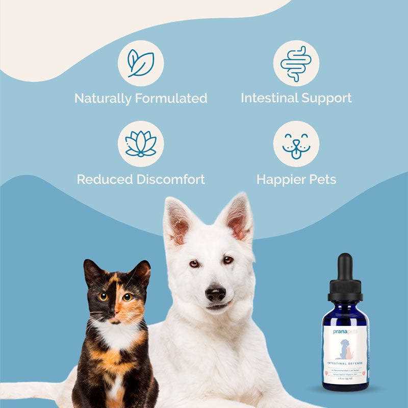 Herbal Dewormer for Dogs E9970