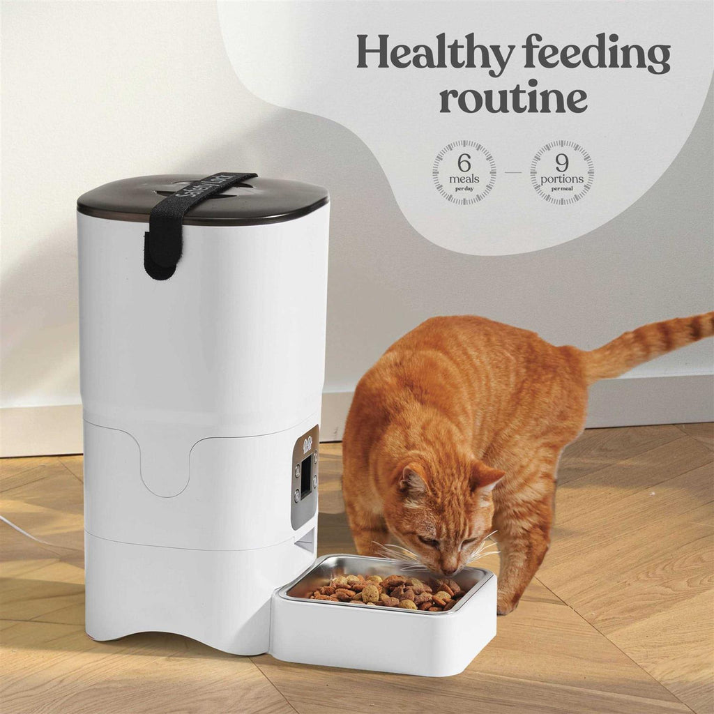 6-L Automatic Cat Food Dispenser with LCD Screen C624