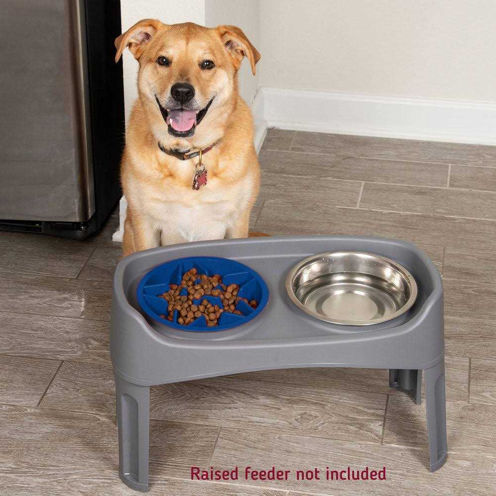 Slow Feeder Dog Bowl with Feeder Holes X697
