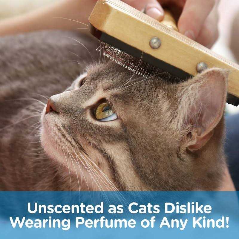 Cat Detangling Spray N5773