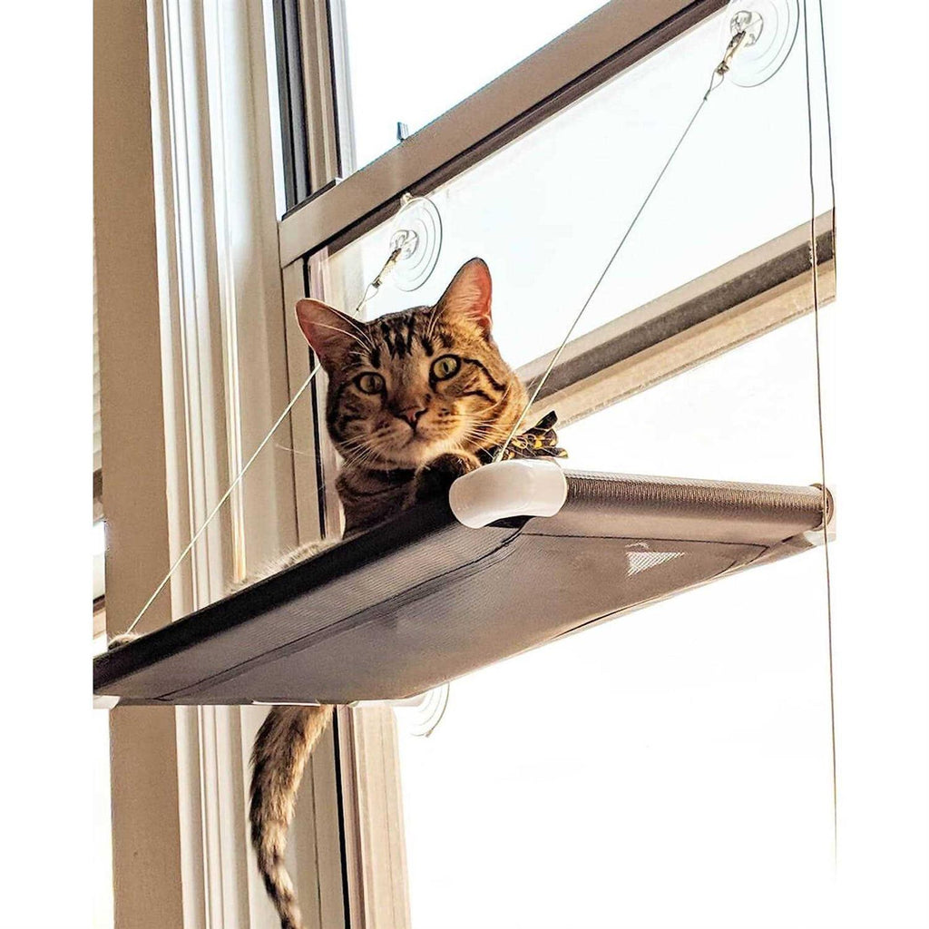 Cat Perch U80631