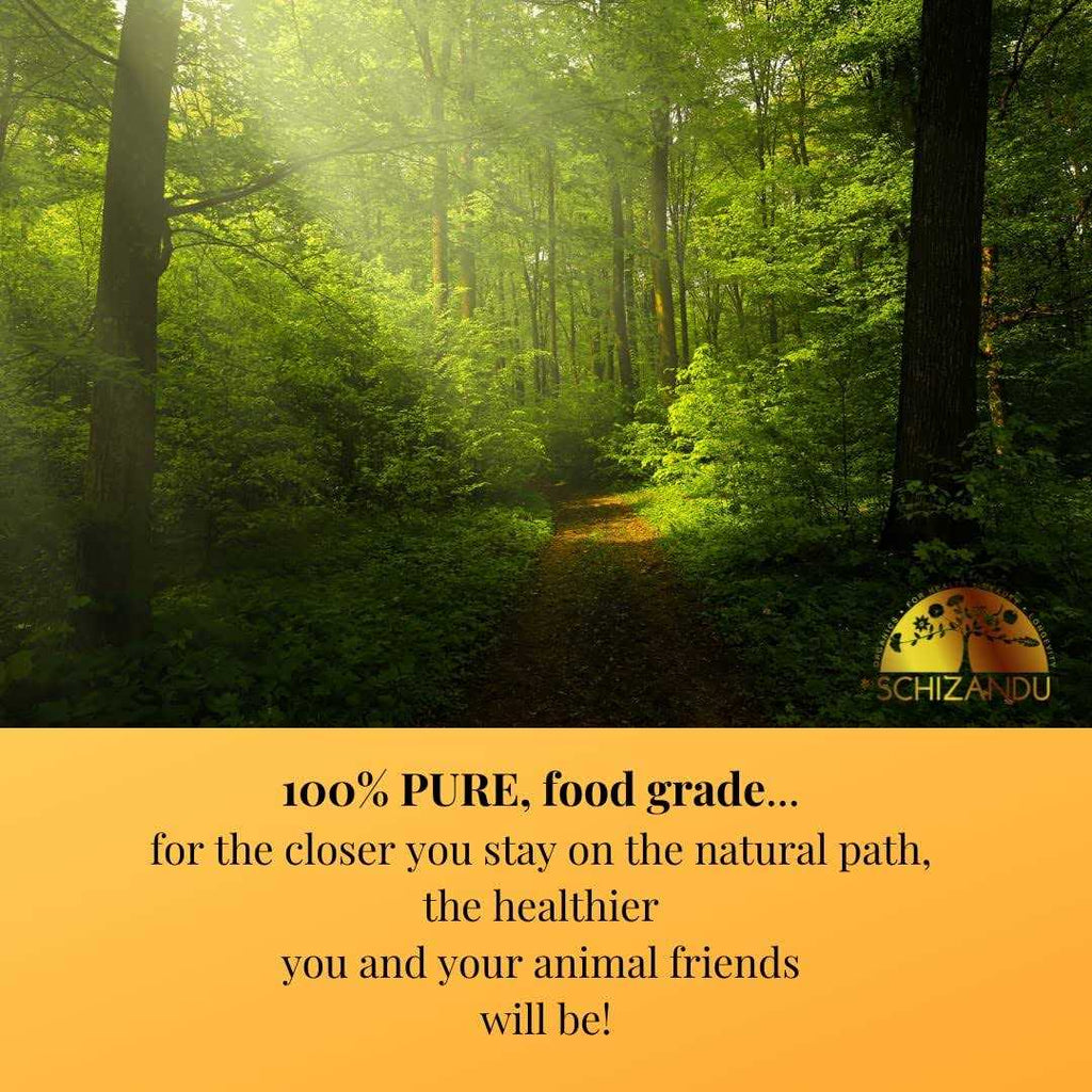 Activated Charcoal for Pets L77096