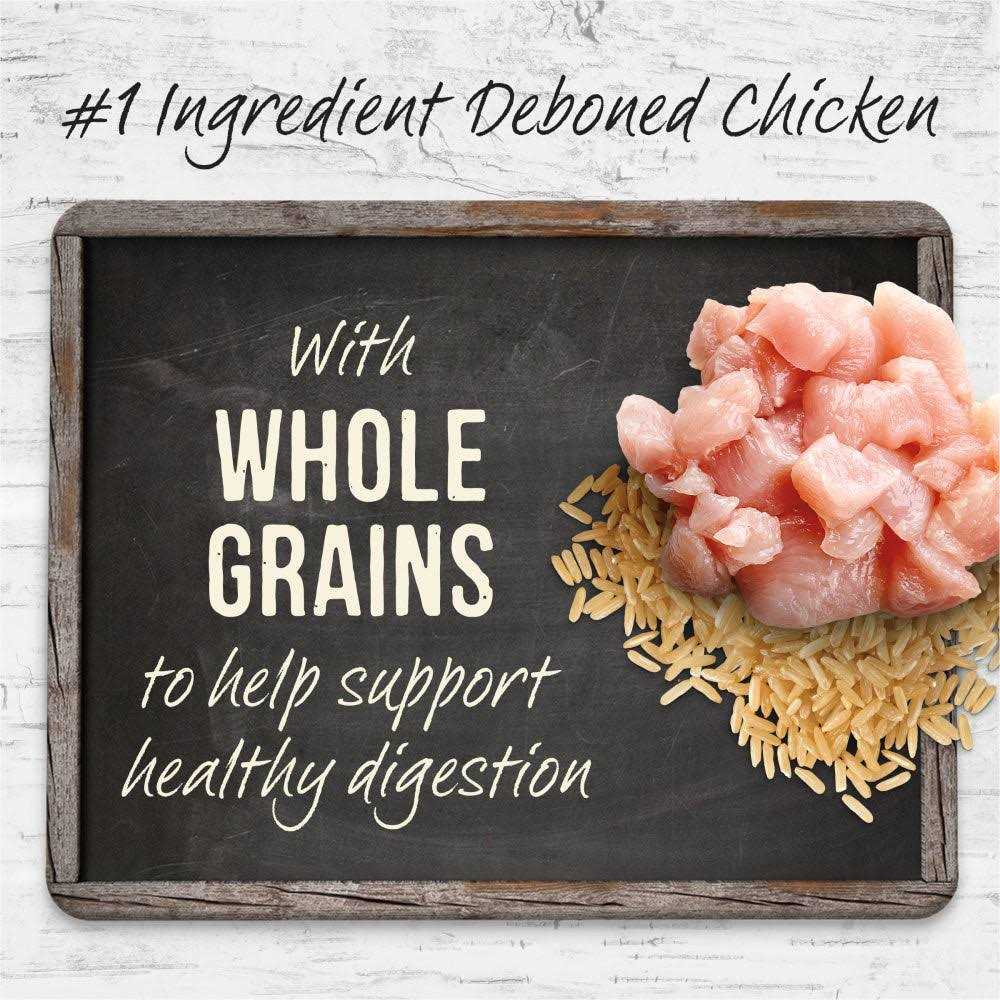 Puppy Recipe with Healthy Grains Dry Dog Food Z57192