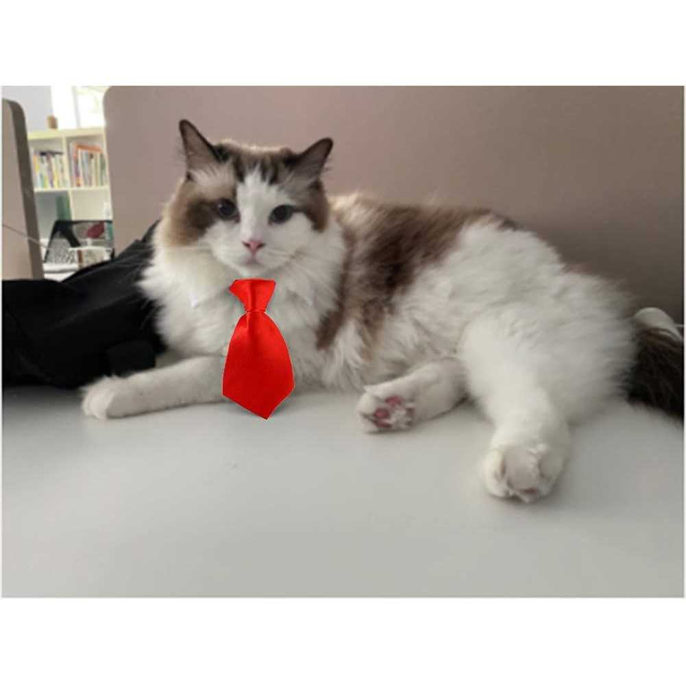 Adjustable Dog Cat Bowtie Collar O312924