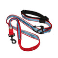 Dog Leash J4743