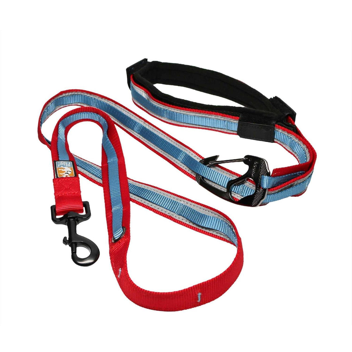 Dog Leash J4743