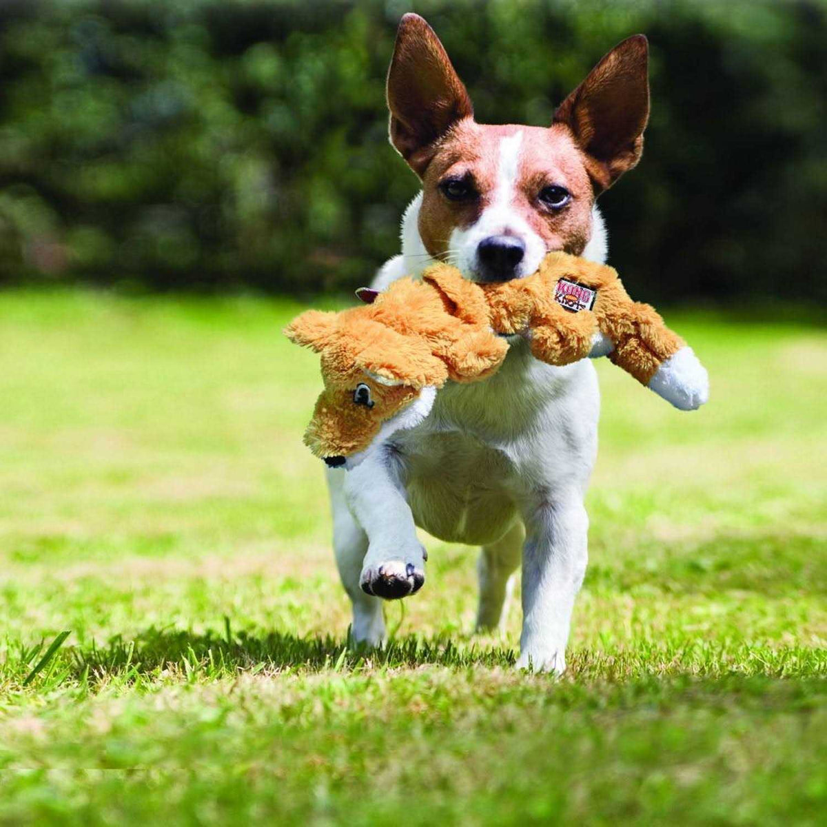 Dog Toy E29085