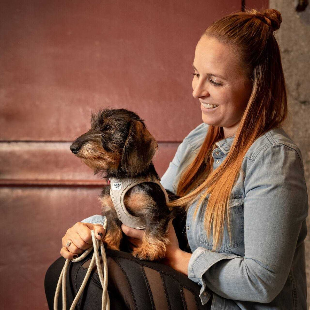 Air-Mesh Dog Harness Y48325