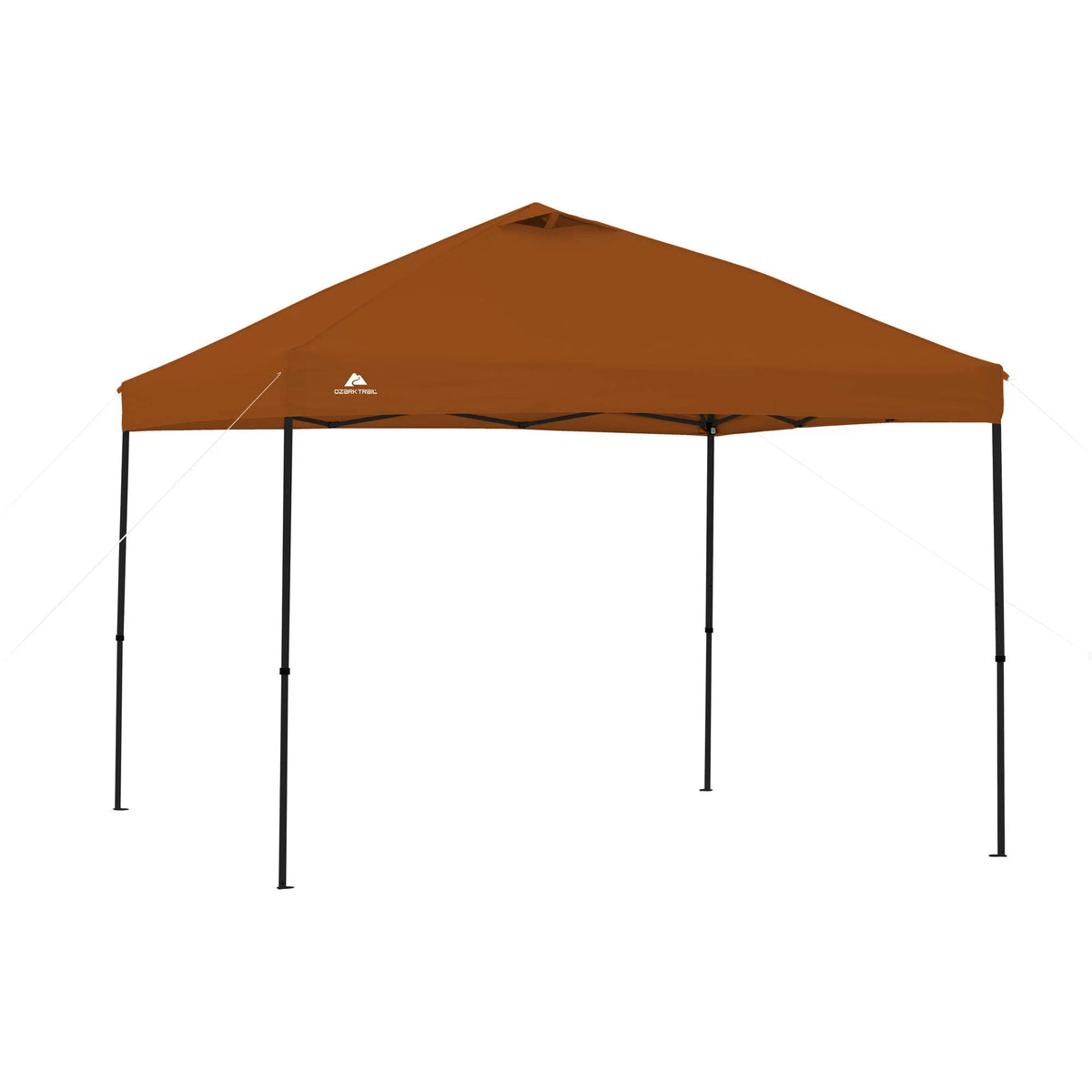 10 ft x 10 ft White Instant Canopy F660380