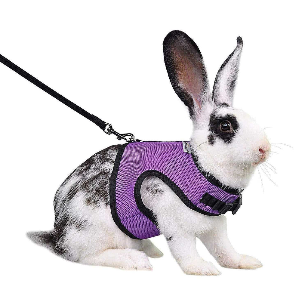Adjustable Soft Harness with Elastic Leash for Rabbits F151