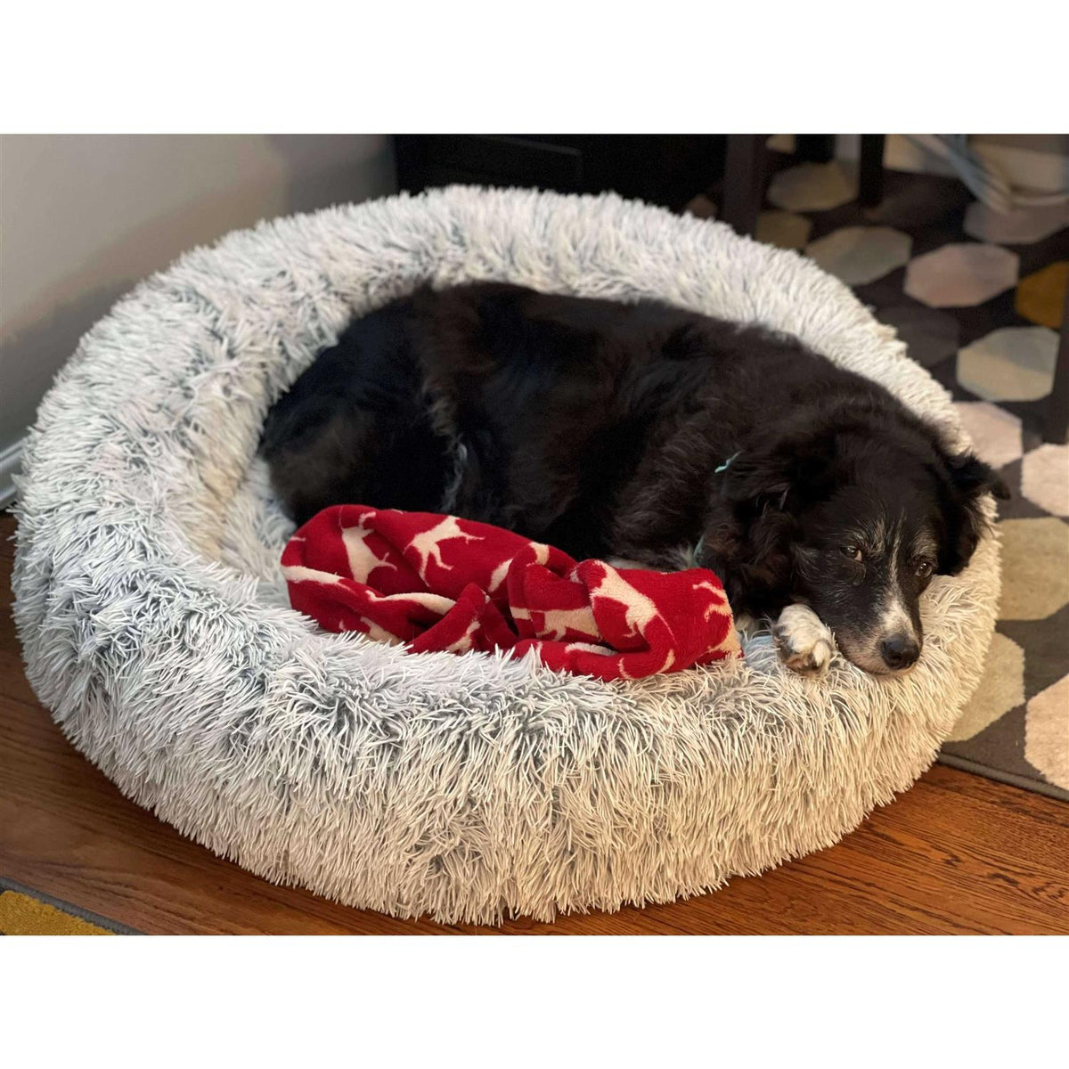 Cuddle Bed V346