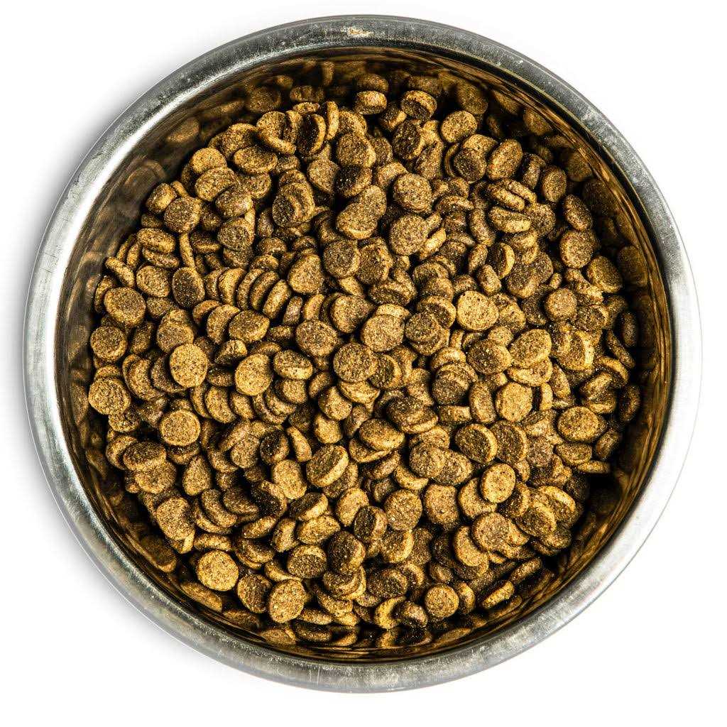 Dry Dog Food W928002