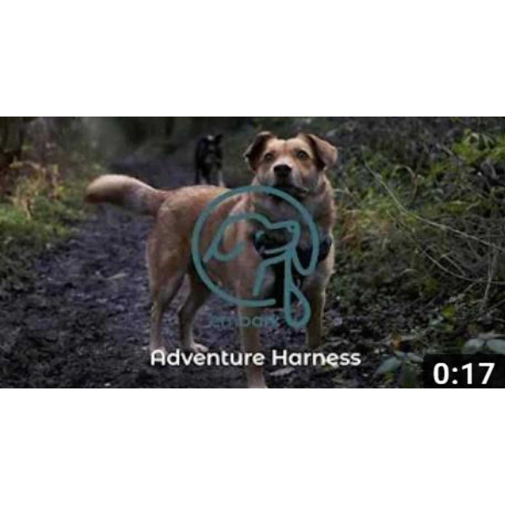 Dog Harness Leash O4856