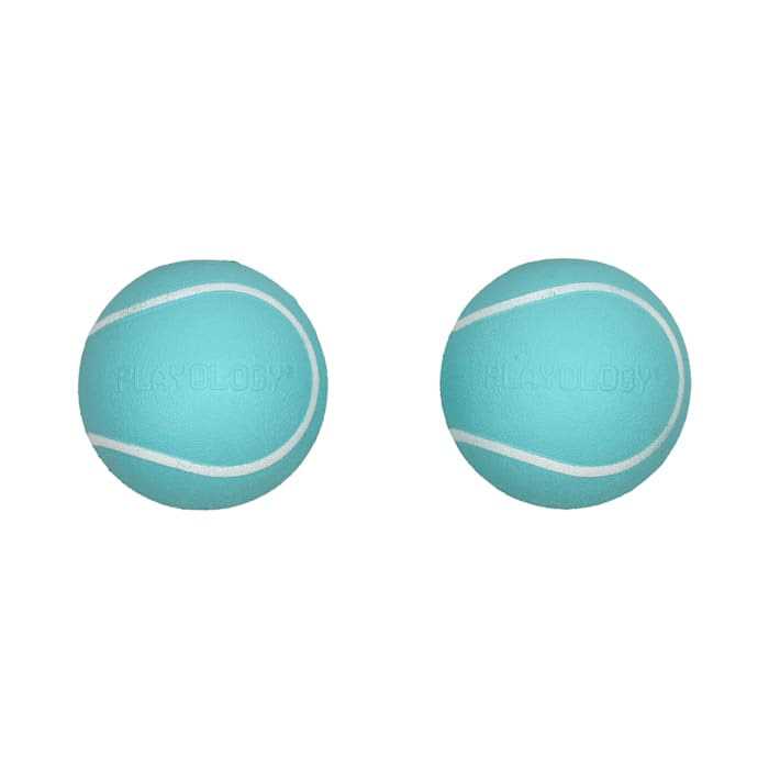 Squeaky Chew Ball Dog Toy M8647