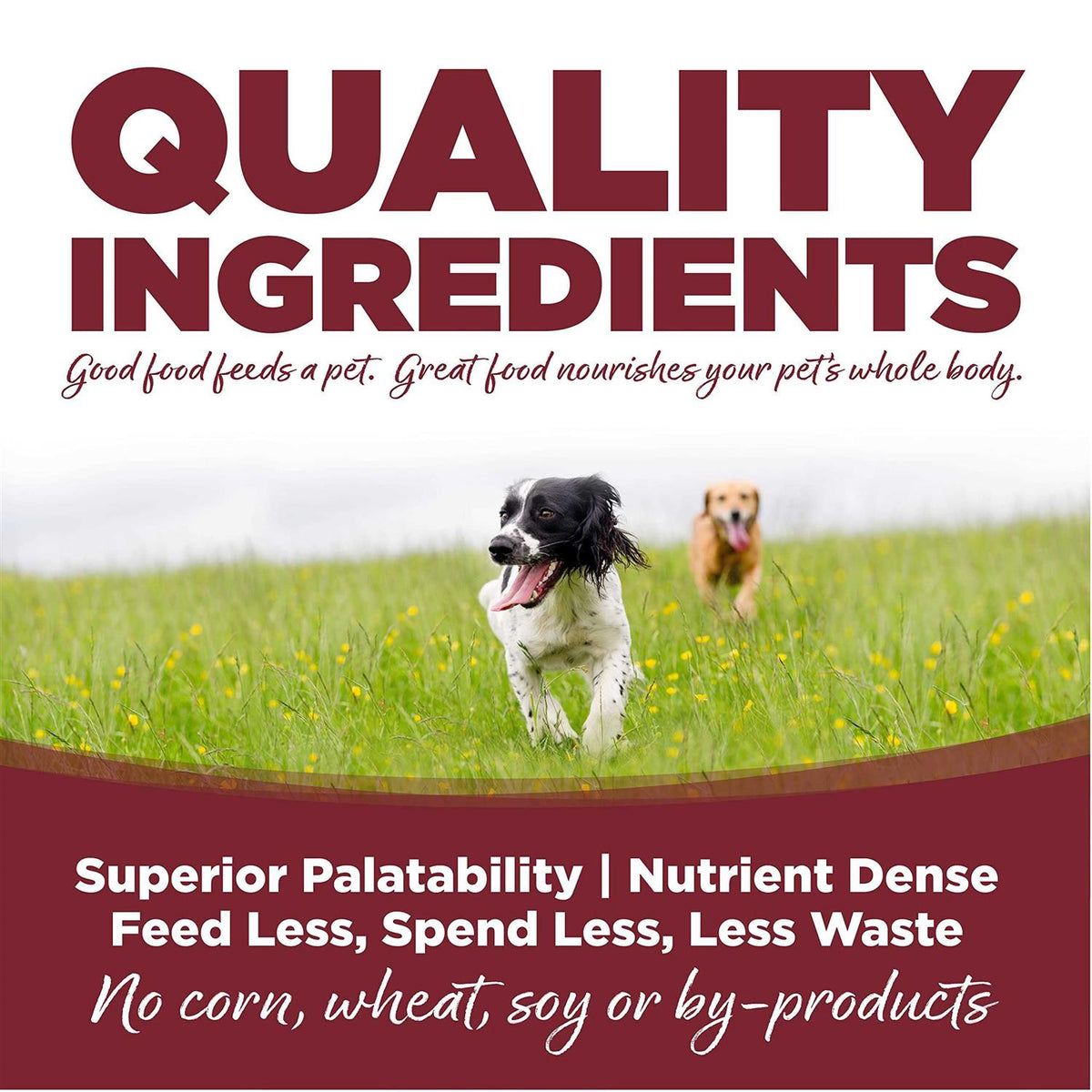 Beef Rice Dry Dog Food H748310