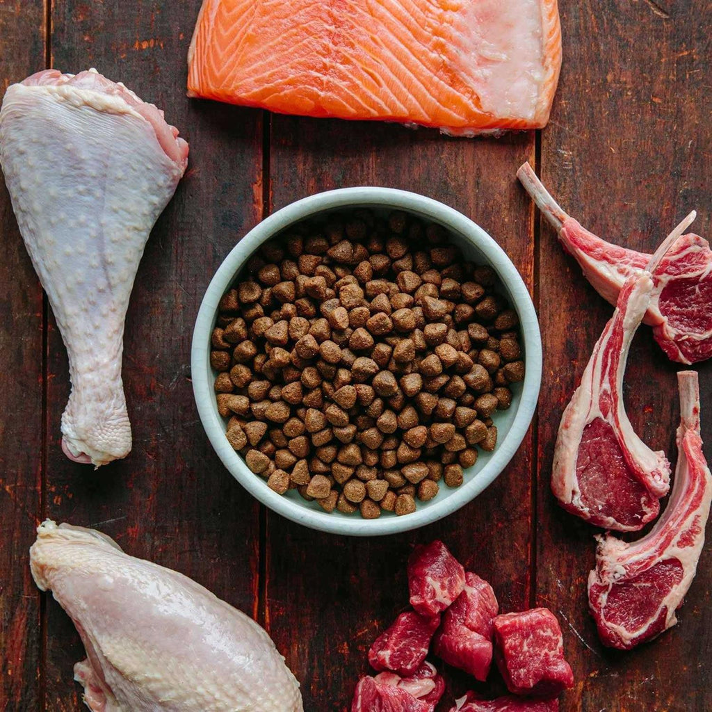 Grain-Free Dry Dog Food C76710