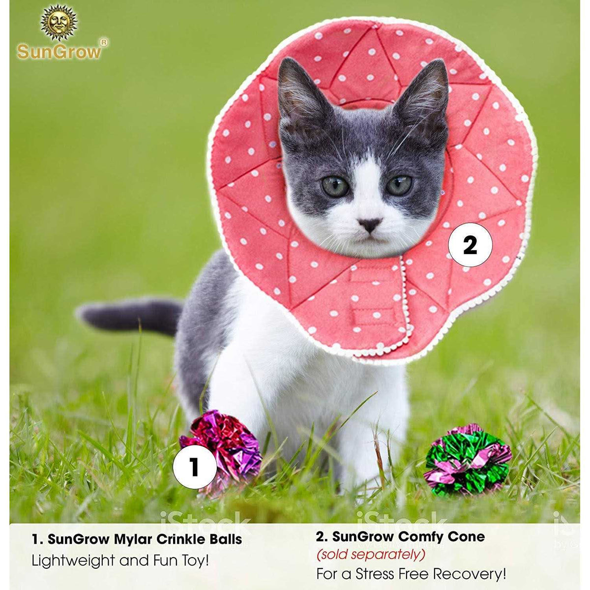 Cat & Kitten Toys P88431