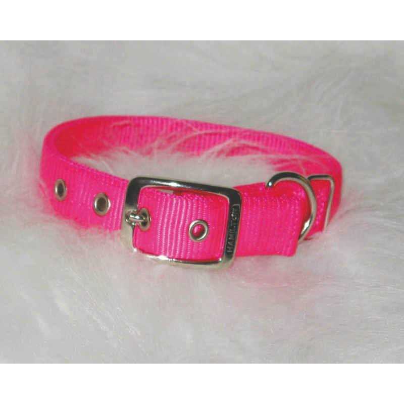 Nylon Dog Collar N54634