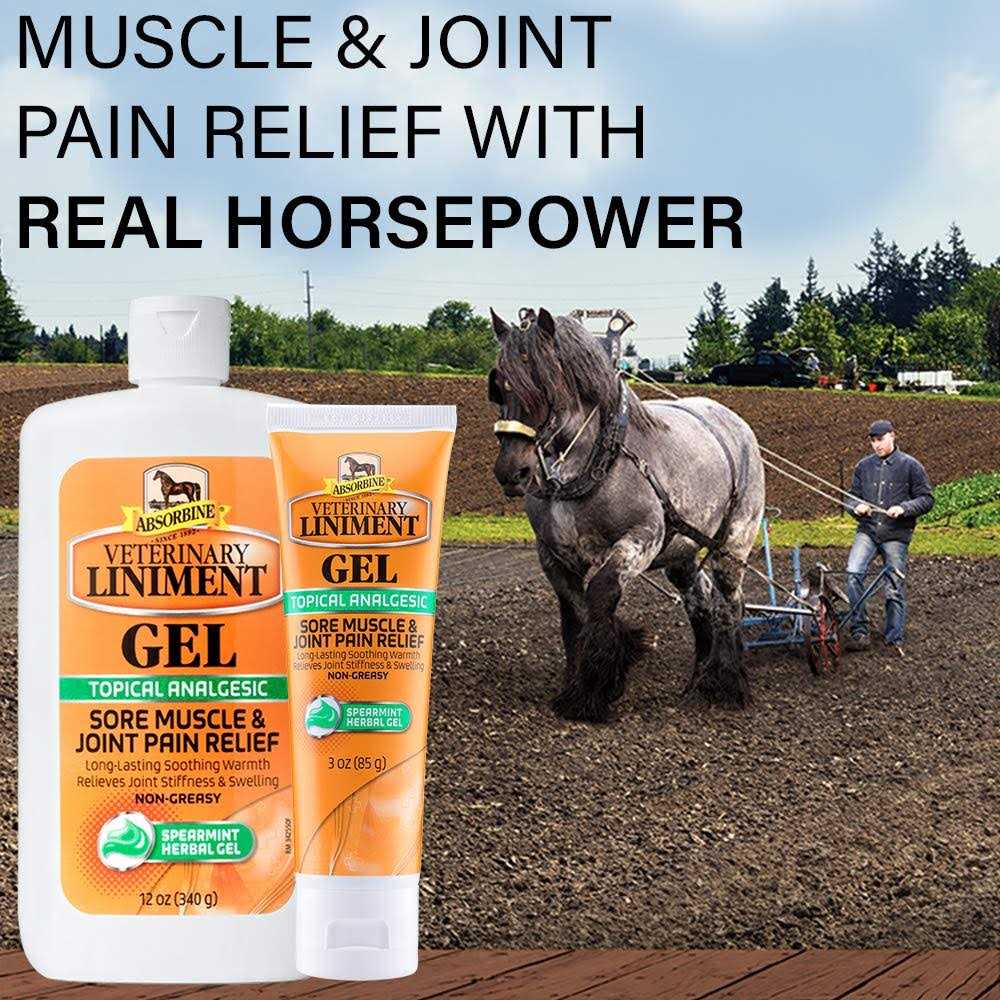Veterinary Liniment Gel Topical Menthol Analgesic Rub O1381