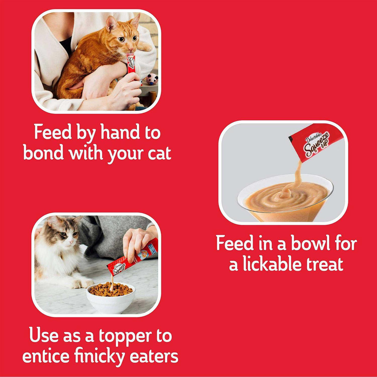 Cat Treats Y331