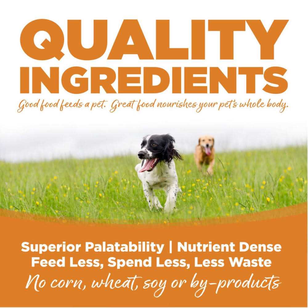 Lamb Rice Dry Dog Food V8031