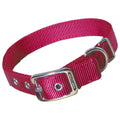 Nylon Dog Collar N54634