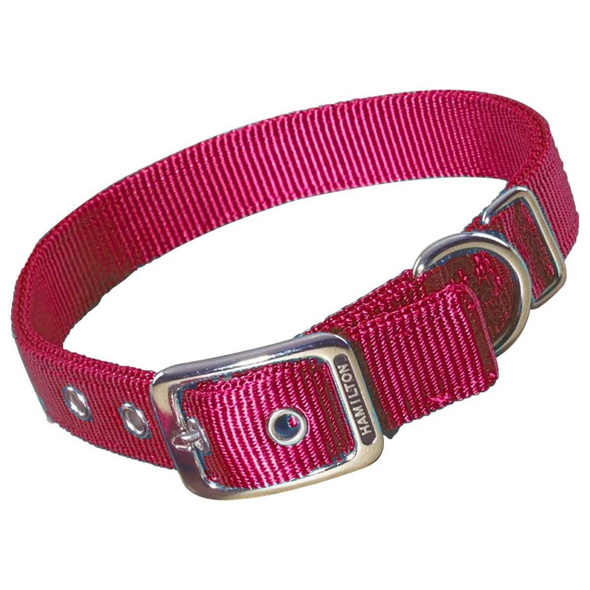Nylon Dog Collar N54634