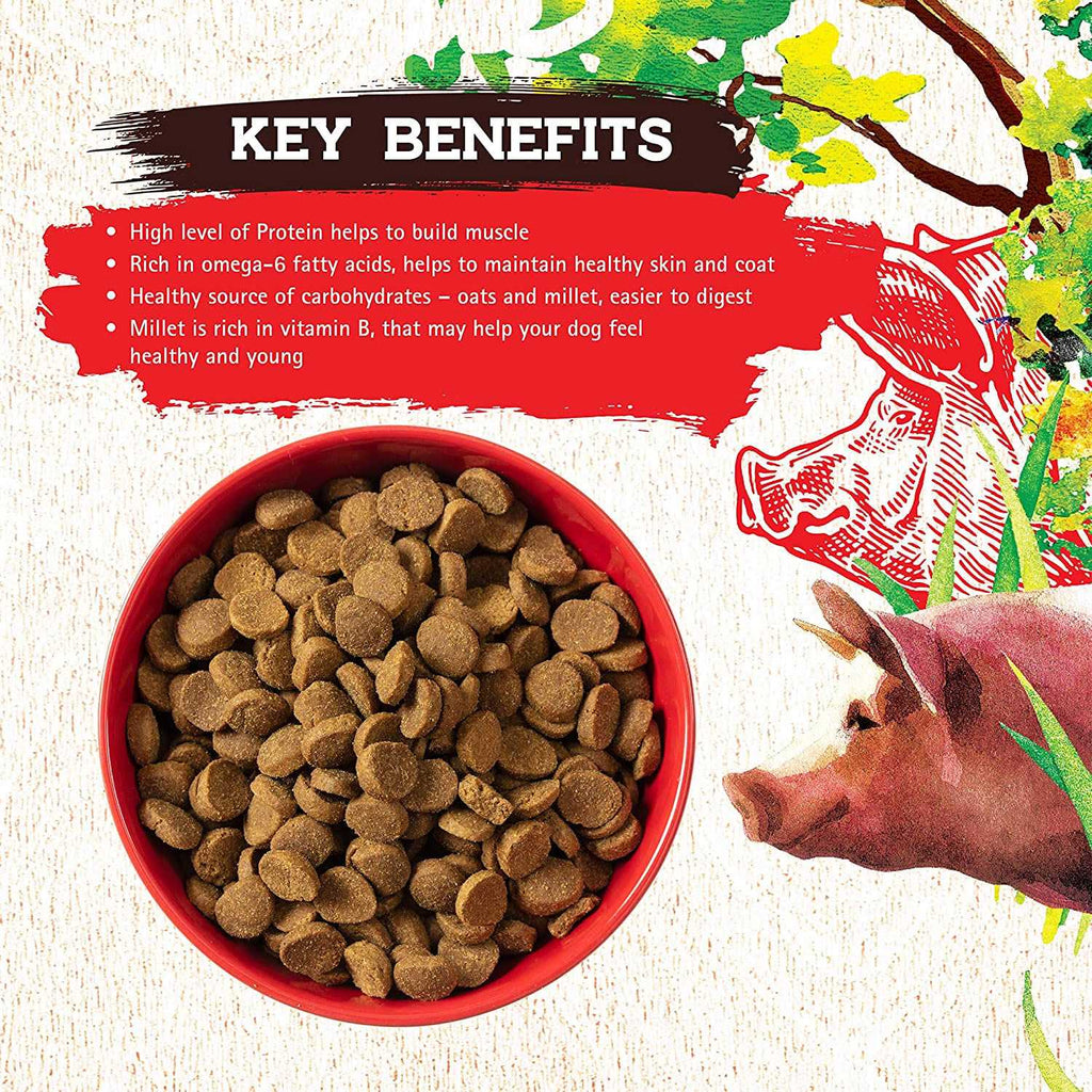 Pork Recipe Dog Food I8863
