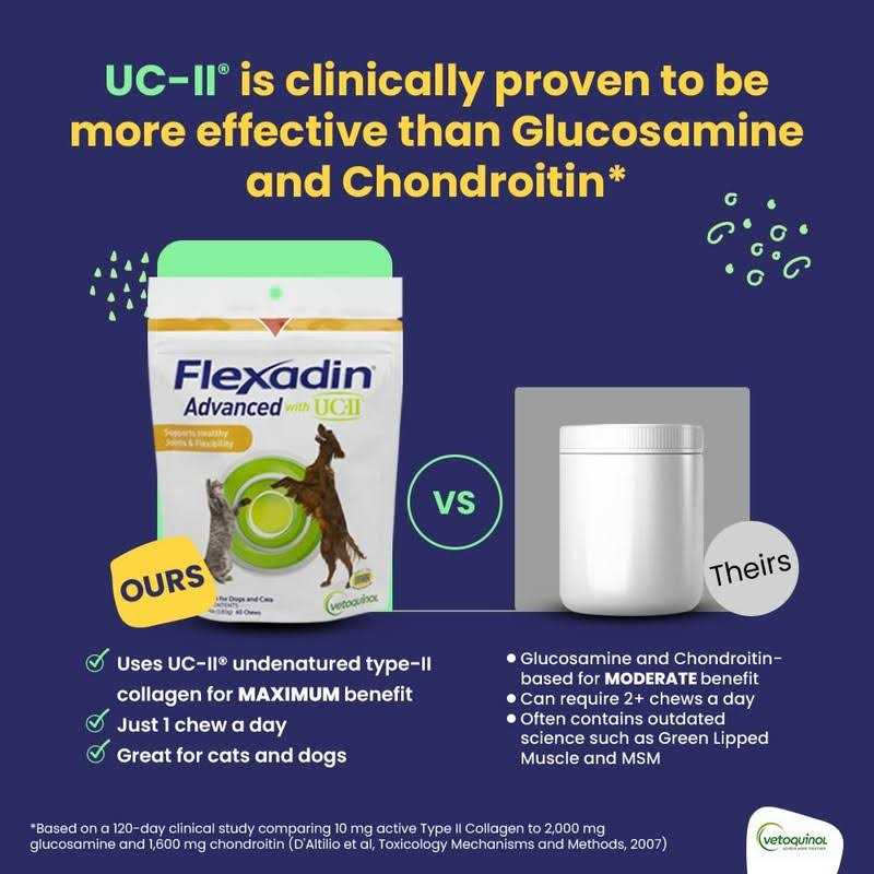 Chews with UC-II for Dogs & Cats J589
