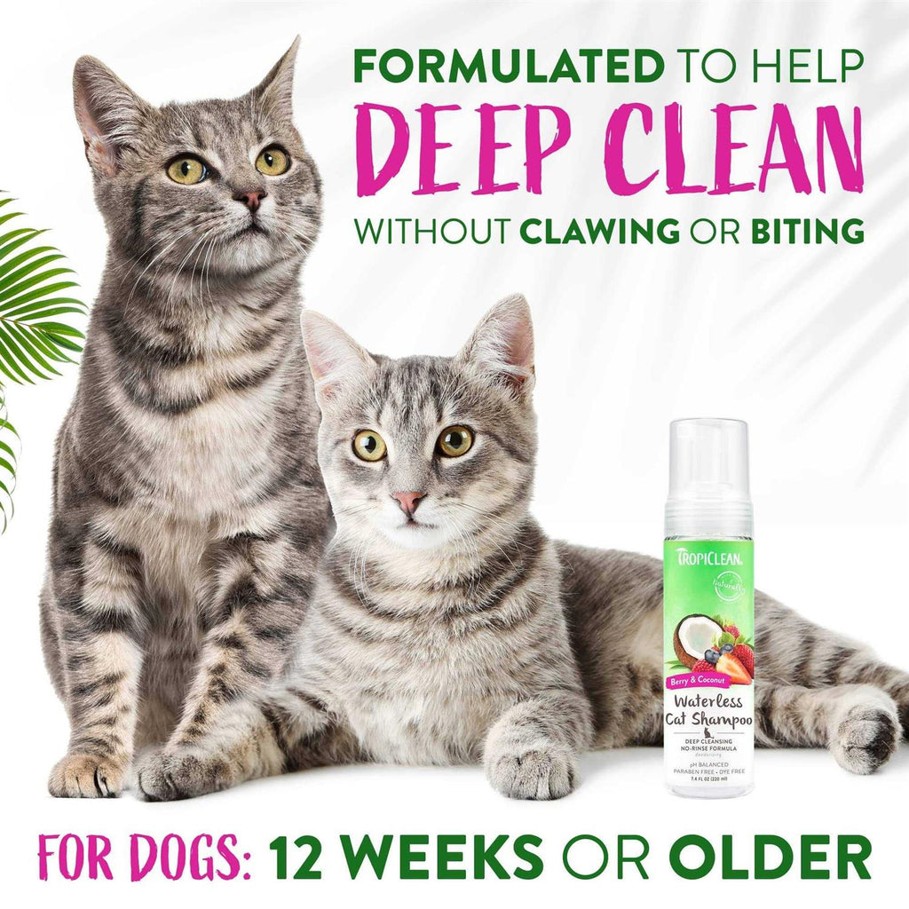 Waterless Deep Cleaning Cat Shampoo L531