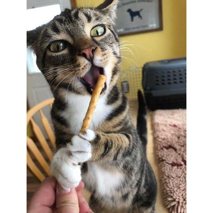 Salmon Stix X1187