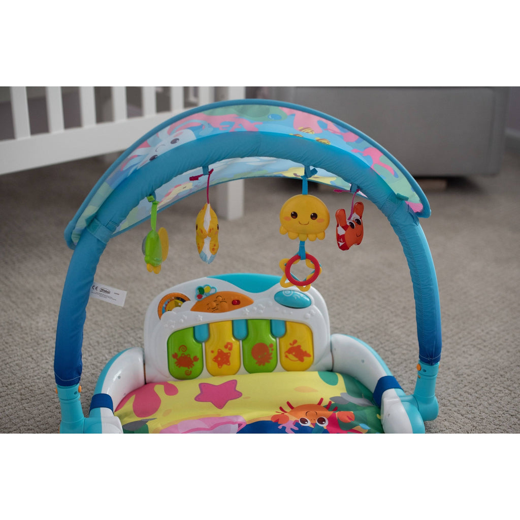 Magic Lights and Musical Play Gym D570