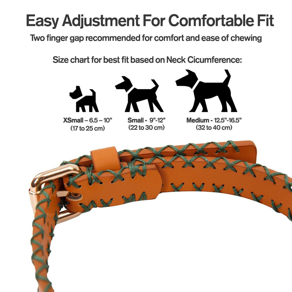 Handcrafted Standard Dog Collar Y662754