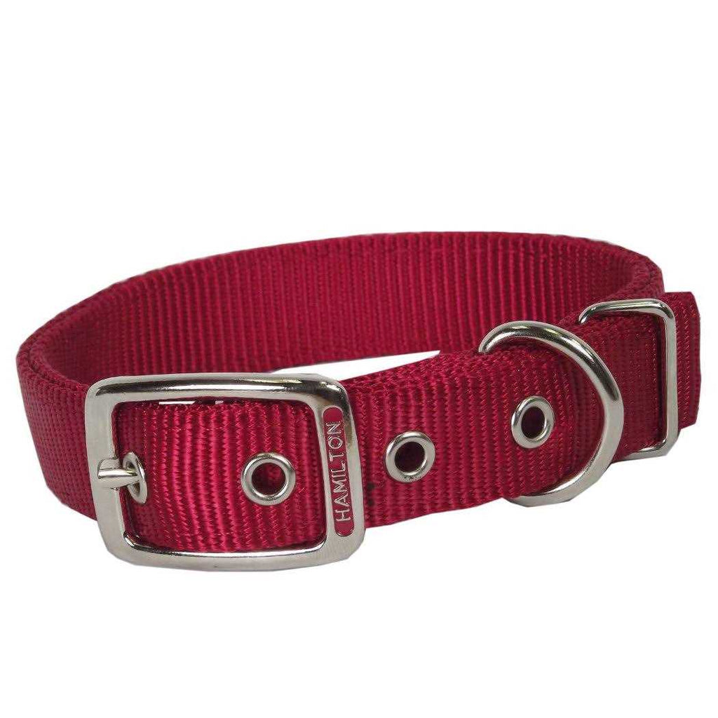 Nylon Dog Collar N54634