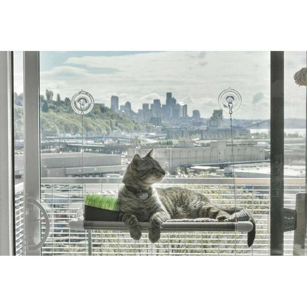 Cat Perch U80631