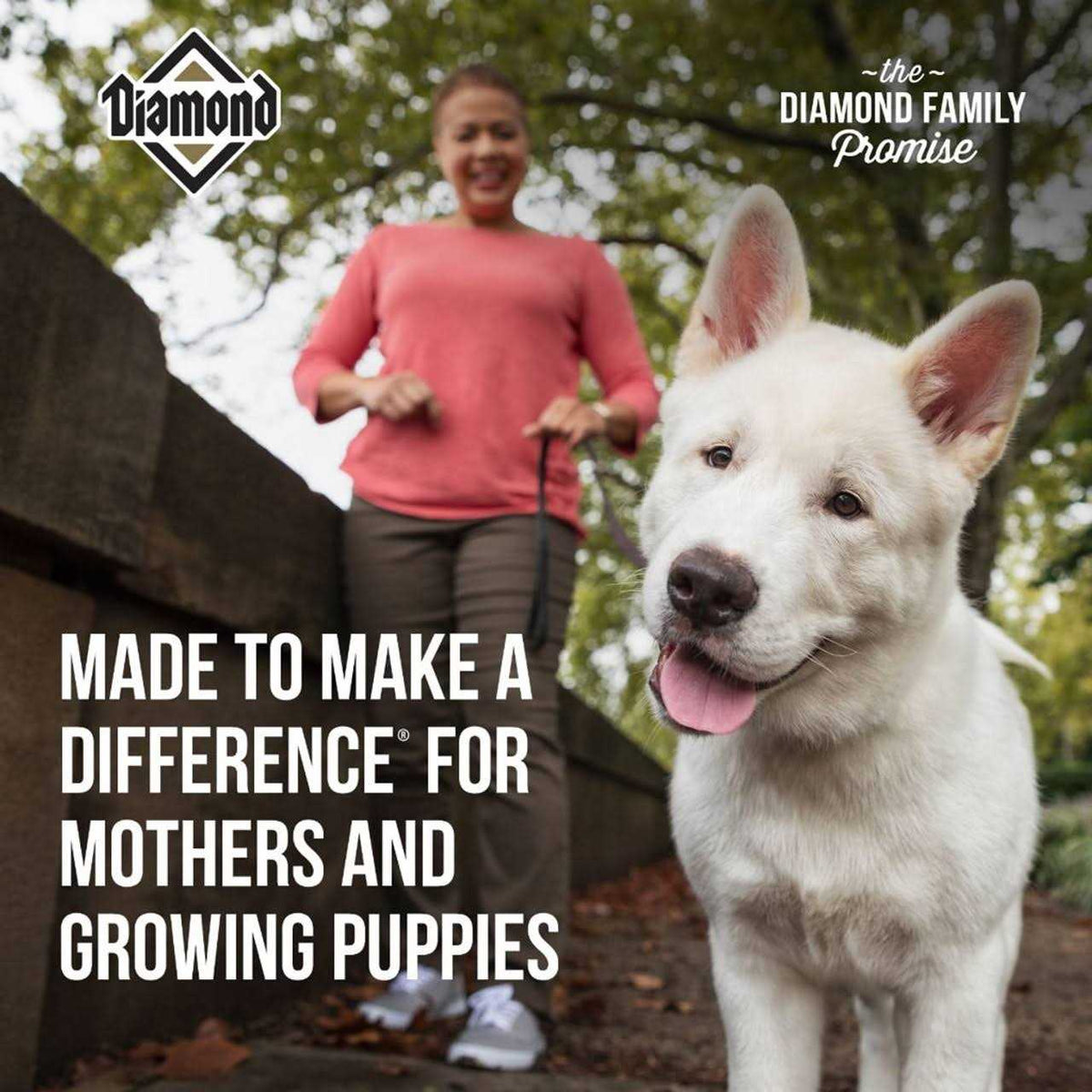 Puppy Food E39647