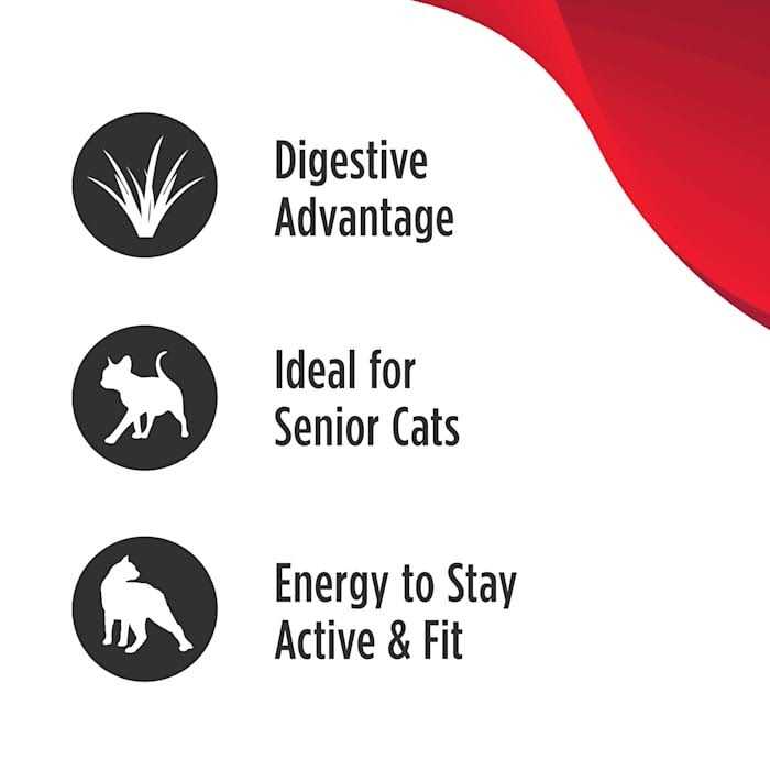 Grain Free Turkey Dry Cat Food A424
